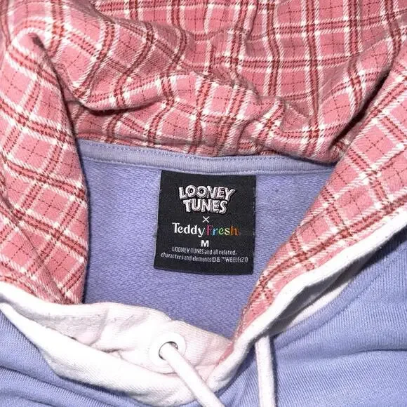 Teddy Fresh x Looney Tunes Colorblock Hoodie Size M Embroidered Graphic Fleece - Picture 4 of 8